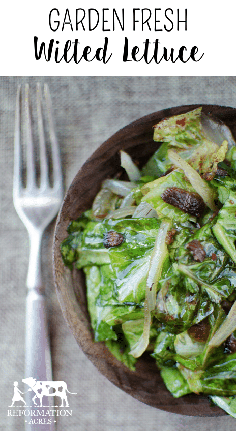 Salad greens wilted in a hot vinegar and bacon dressing. Garden Fresh Wilted lettuce is the perfect accompaniment for steak!