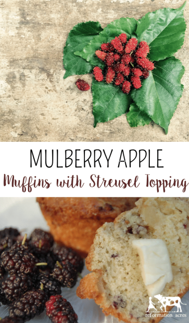 Everybody needs a basic berry muffin this recipe works beautifully to make Mulberry Muffins with Apples and Streusel Topping (Or with your favorite berry!)