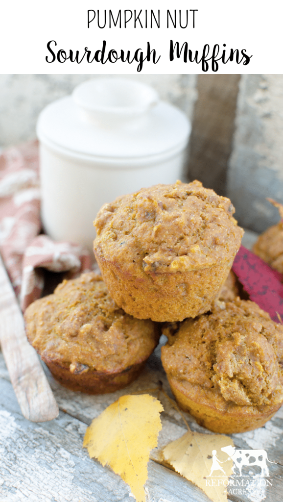 Pumpkin Nut Sourdough Muffins