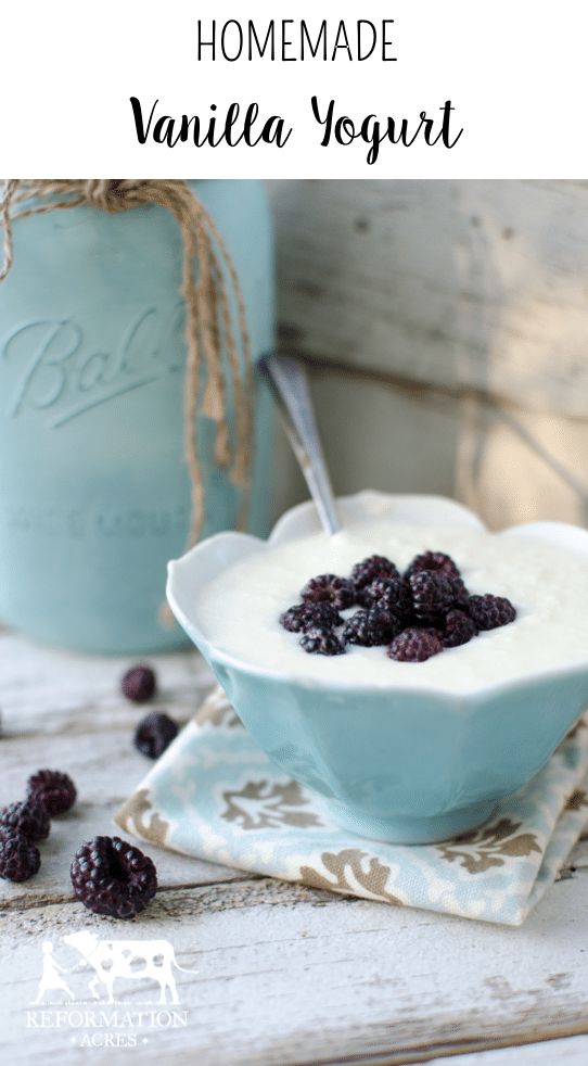 Learn how to make a creamy, thick homemade vanilla yogurt recipe with only 4 ingredients!