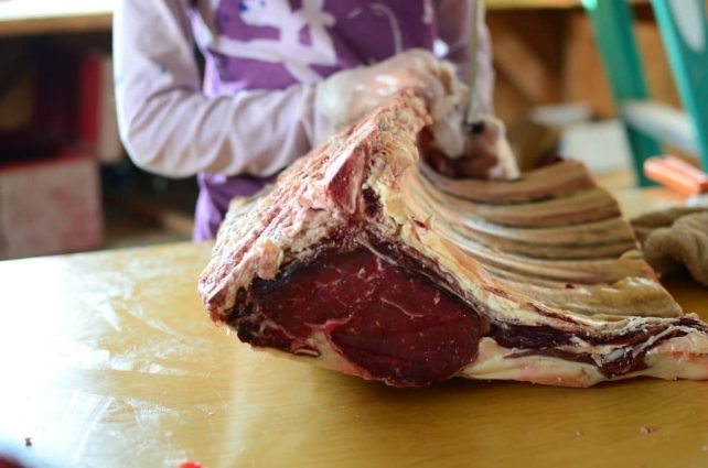 Beef rib part - Butchering Beef on the Homestead