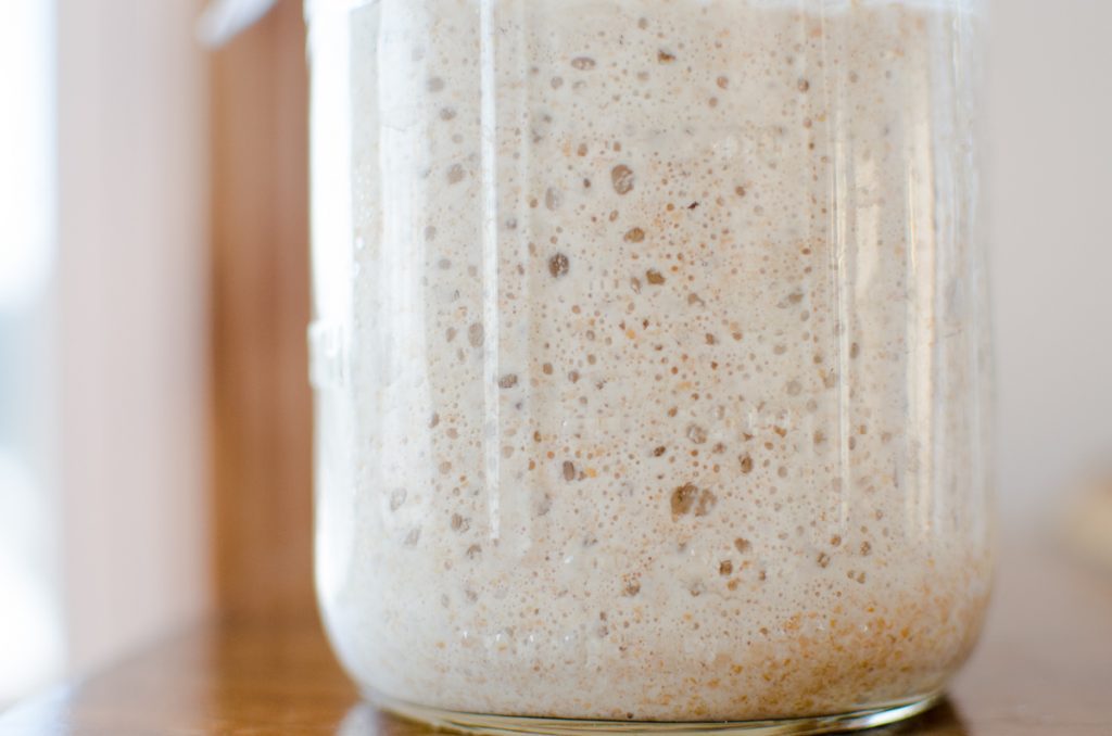 How To Capture Wild Yeast and Feed Sourdough Starter {Cheat Sheet}
