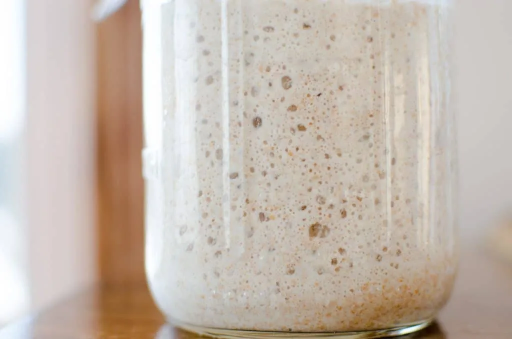 yeast starter in a glass jar 1