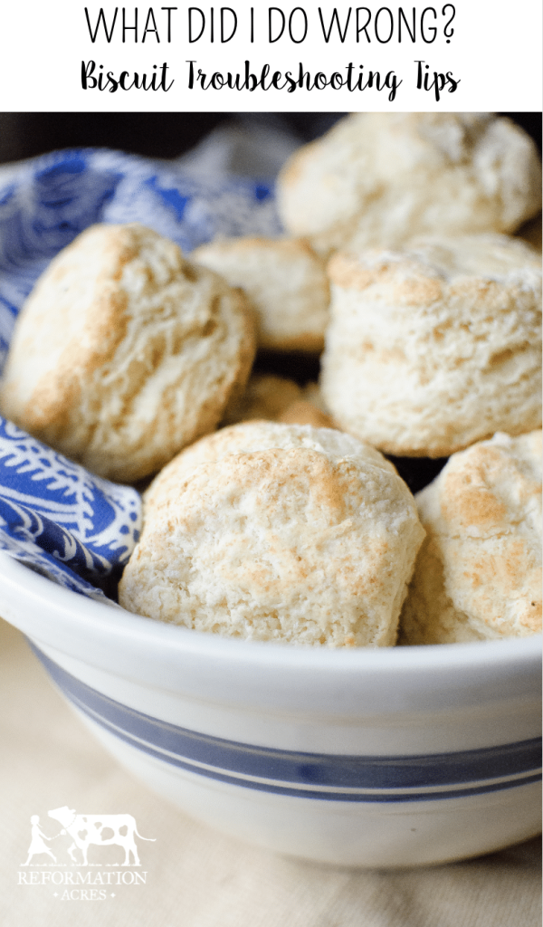 What Did I Do Wrong? Biscuit Troubleshooting Guide