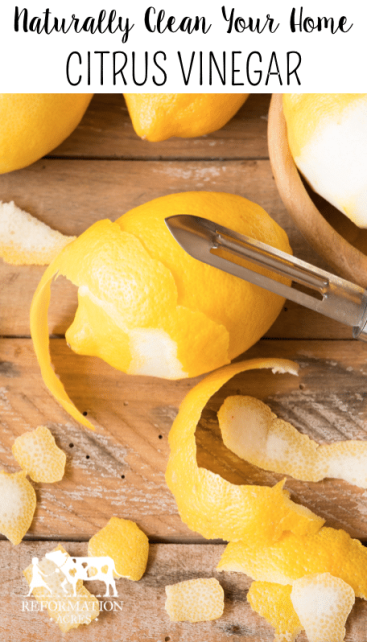 Naturally Clean Your Home with Citrus Vinegar