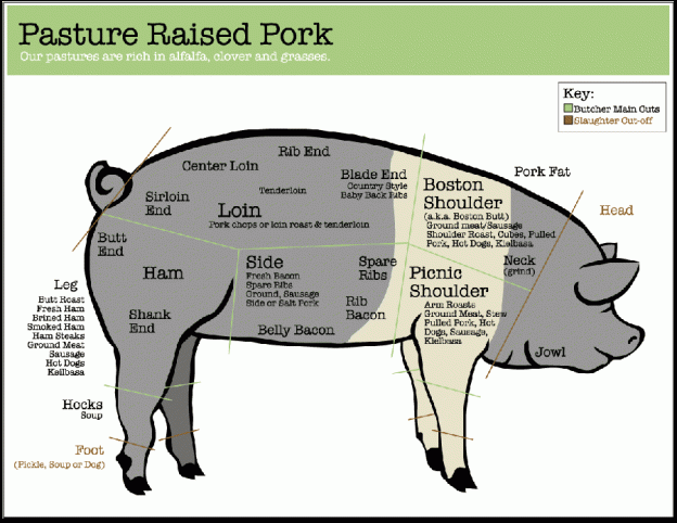 pork_cuts pasture raised pork