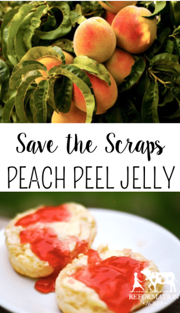 Don't throw away your scraps! Save the peach peels to make a delicious Peach Peel Jelly!
