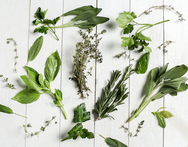 herb garden