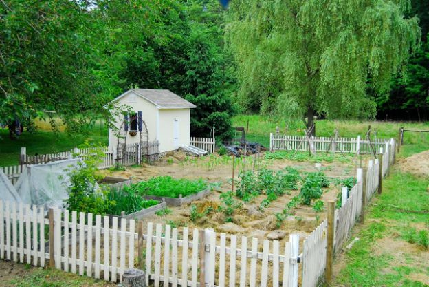 garden in a fence