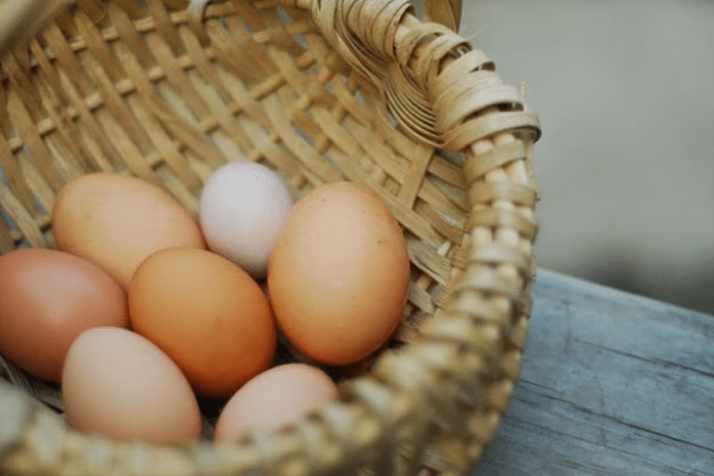 eggs in a basket