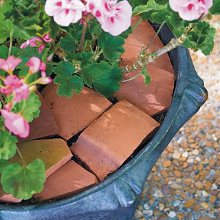 flowers with bricks