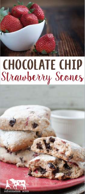 Chocolate Chip Strawberry Scones made with whole wheat flour is a wonderful way to use up frozen strawberries leftover from the early summer harvest.