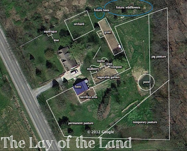 Aerial View of Homestead
