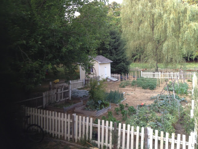 Garden in July