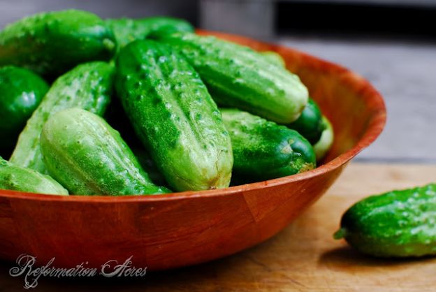 Crisp cucumbers, spicy radishes, and tangy vinegar dressing. Cucumber Salad with Radishes is a light, refreshing salad that is quick & simple to prepare!