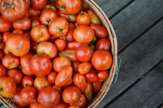 Farmstead Garden in the Fall Season