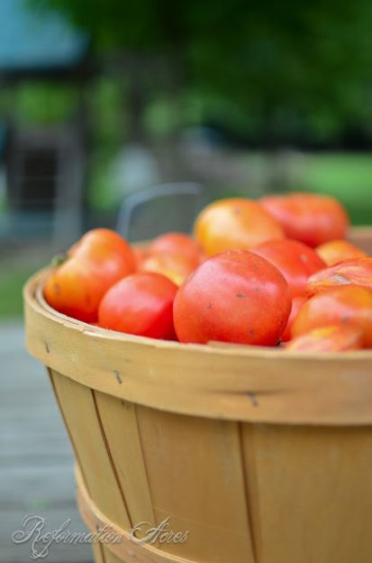 Farmstead Garden in the Fall Season