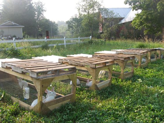 Gleanings from December on Farmstead
