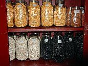 Gleanings from December on Farmstead