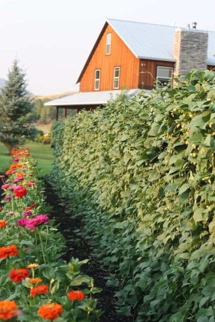 Gleanings from December on Farmstead