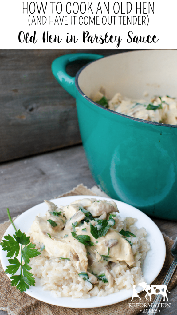 How to Cook an Old Hen (and have it come out tender!) Old Hen in Parsley Sauce