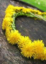 Gleanings from March on the Farmstead
