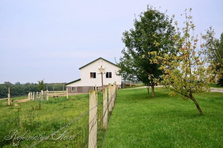 fence and pasture next to green lawn