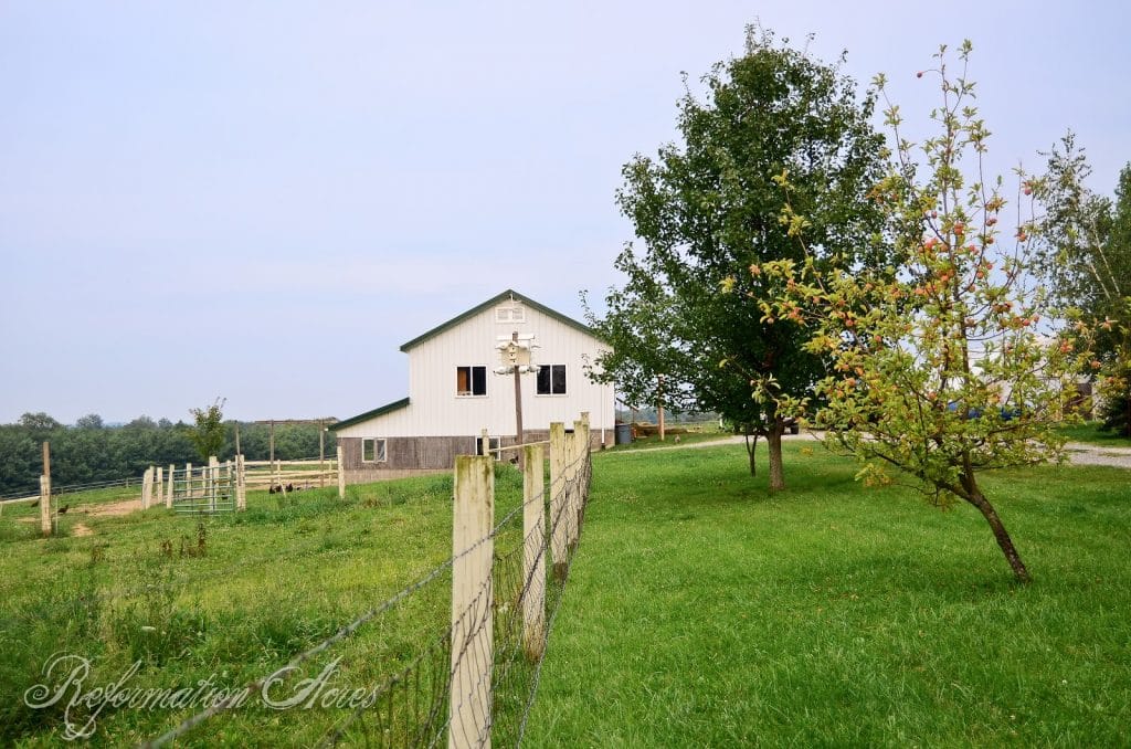 fence and pasture next to green lawn