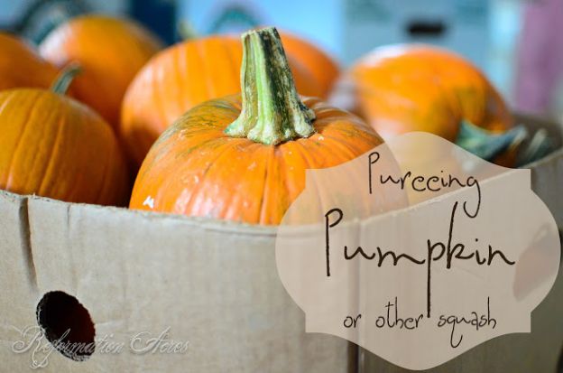 How to Puree Pumpkin & Other Winter Squash