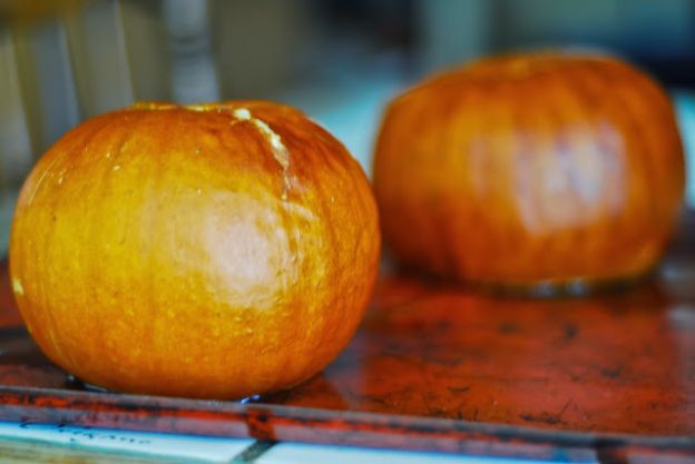 How to Puree Pumpkin & Other Winter Squash