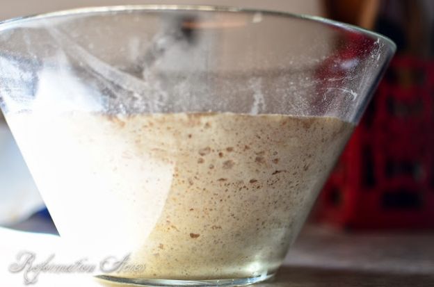 Add a little variety to your mornings with these four recipe variations for sourdough muffins all based off a basic sourdough muffin recipe.
