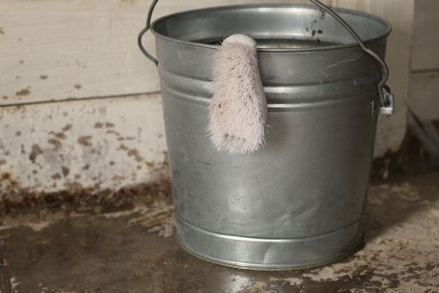 NHcoopwash