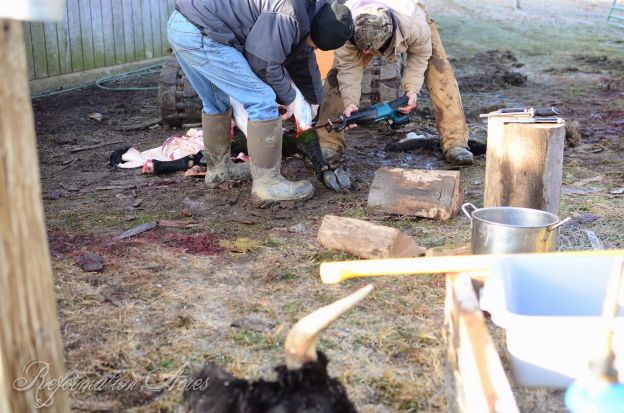 Butchers in action