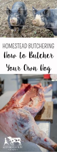 Homestead Hog Butchering Resources