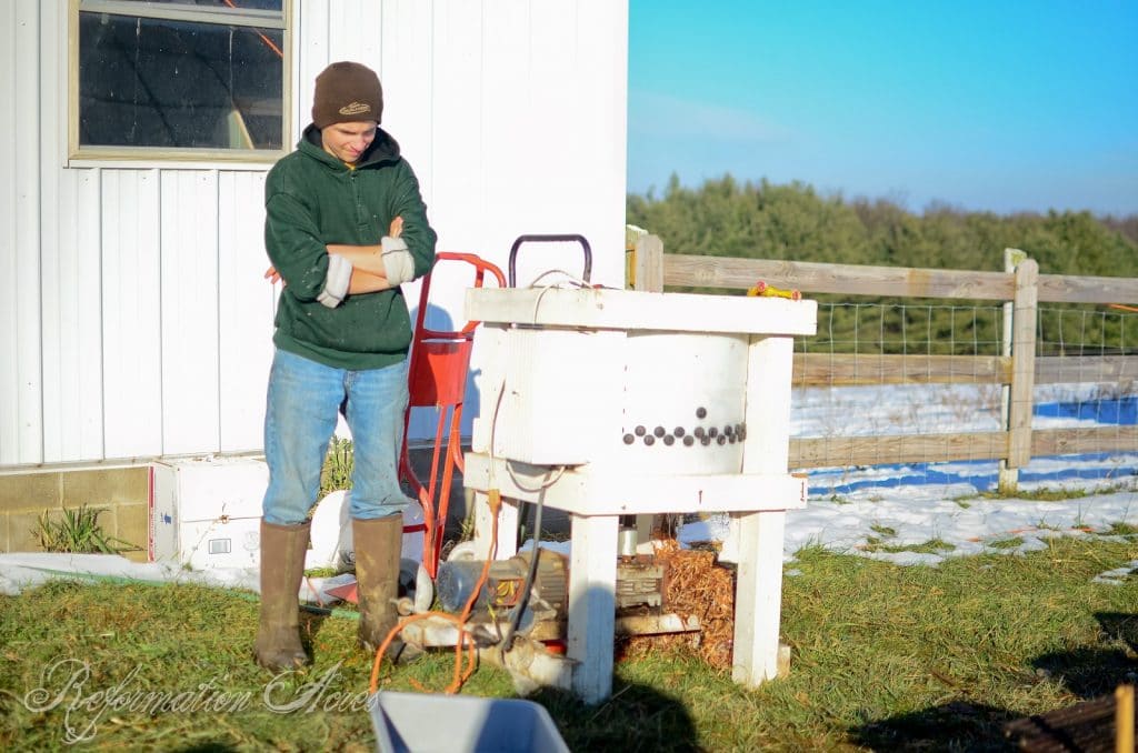 Homestead Chicken Butchering | onjustacoupleacres.blogspot.com-9