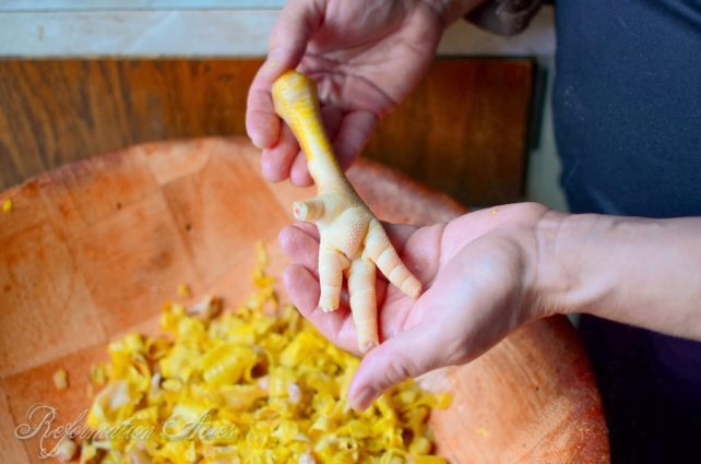 Chicken feet almost done being peeled