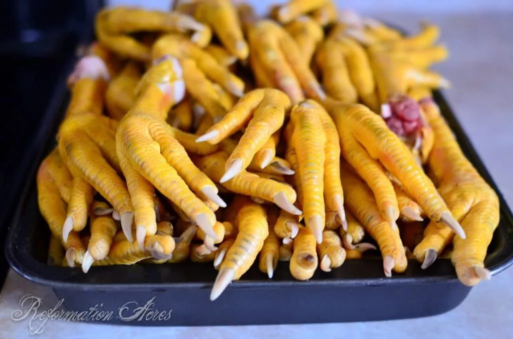 How to Peel Chicken Feet How to Peel Chicken Feet pile of yellow feet