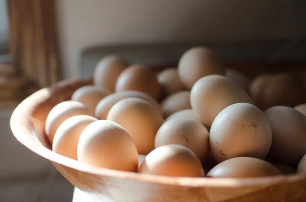 basket or bowl of eggs