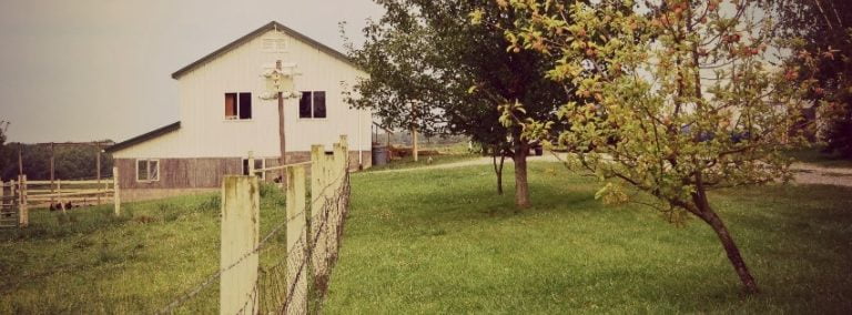 yard with grass and house