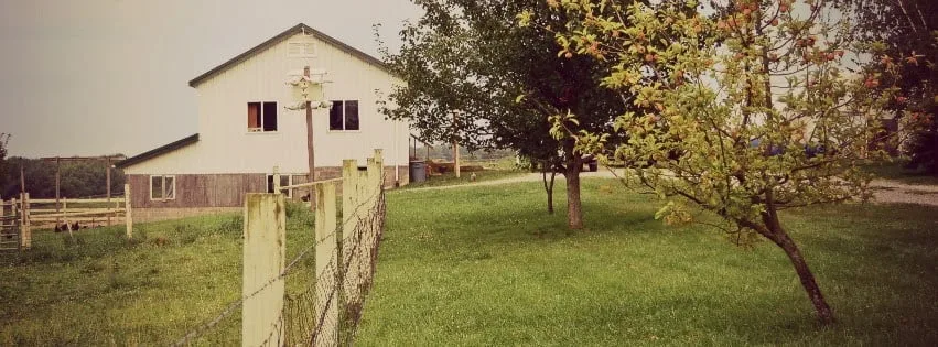 yard with grass and house