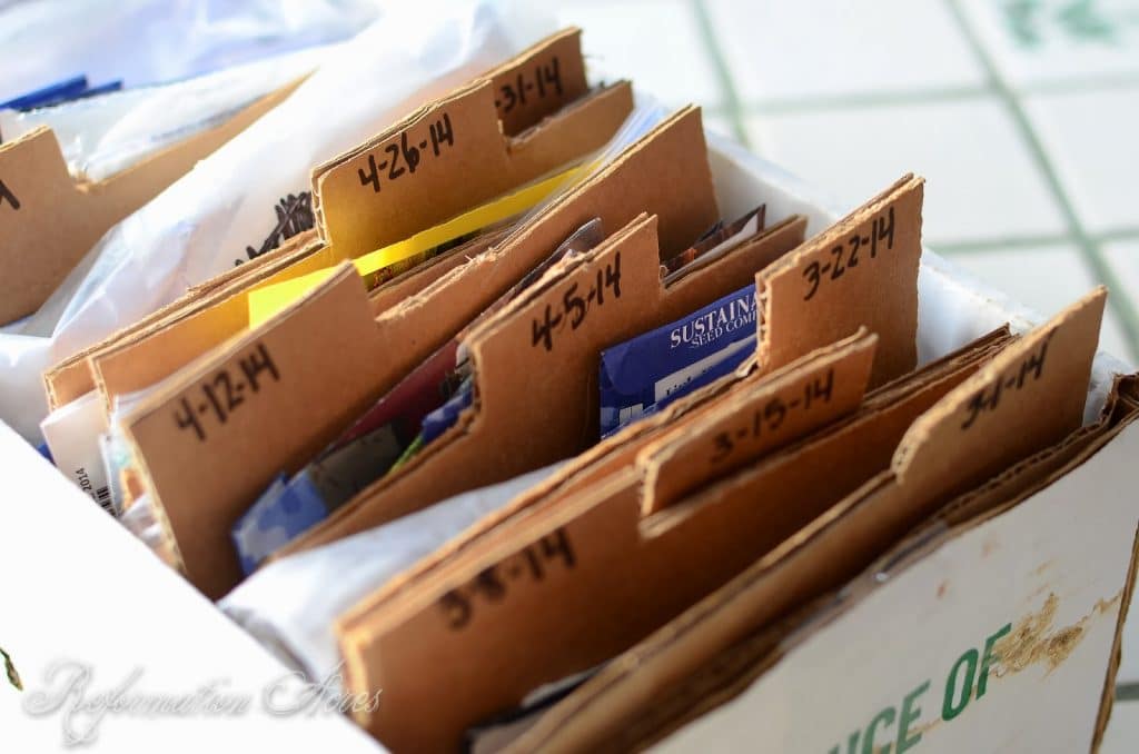 How To Organize Seed Packets