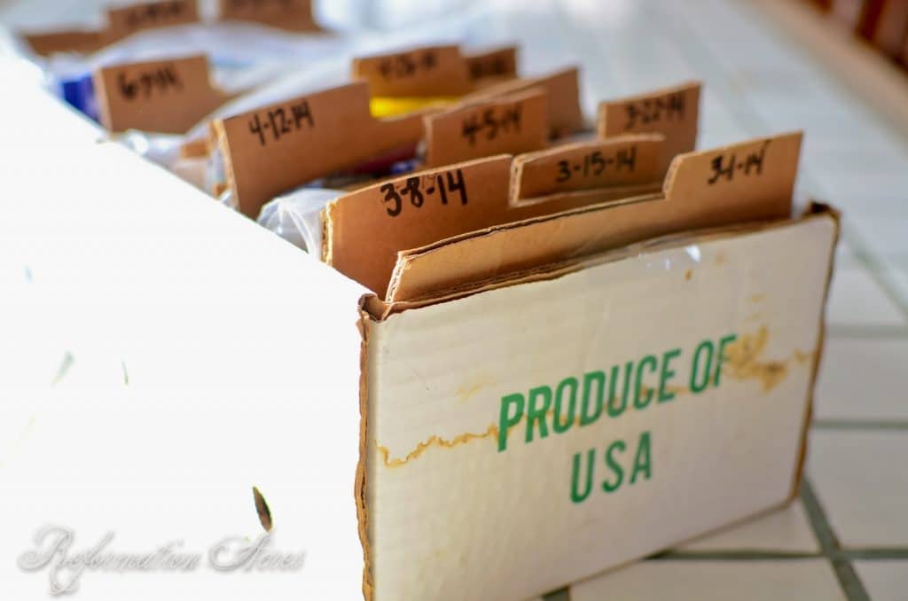 How To Organize Seed Packets