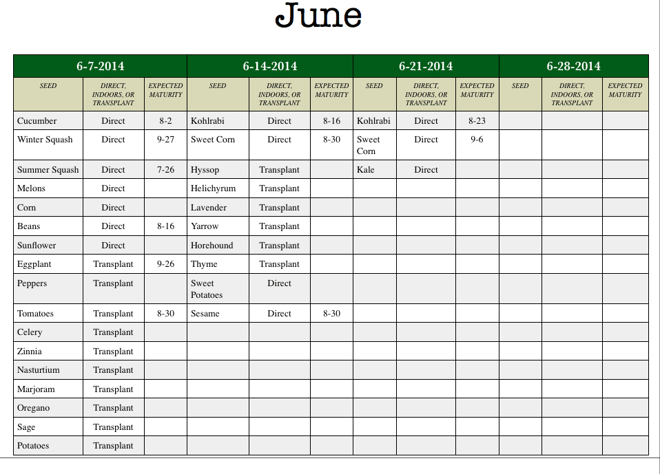 June Template