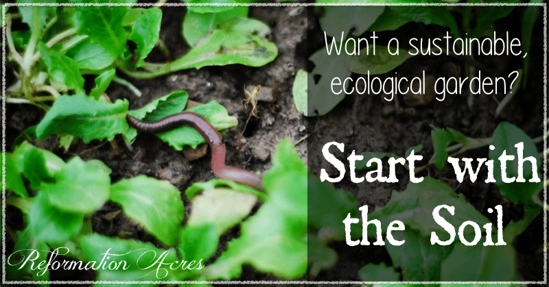 Want a sustainable, ecological garden? Start by nurturing your soil!