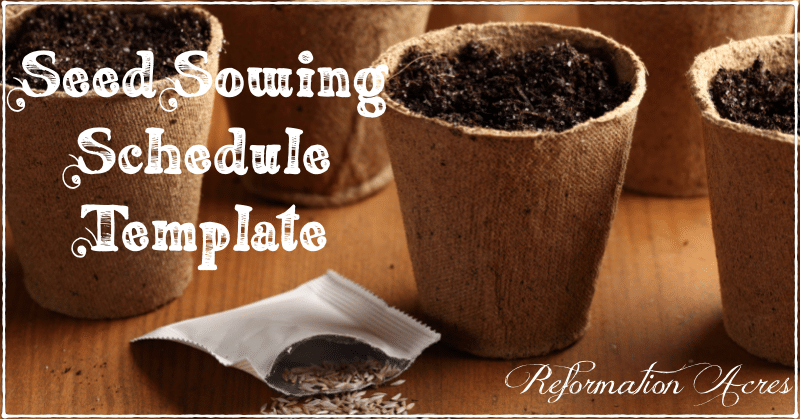 Keep records of your seed starting schedule with a free template download | reformationacres.com