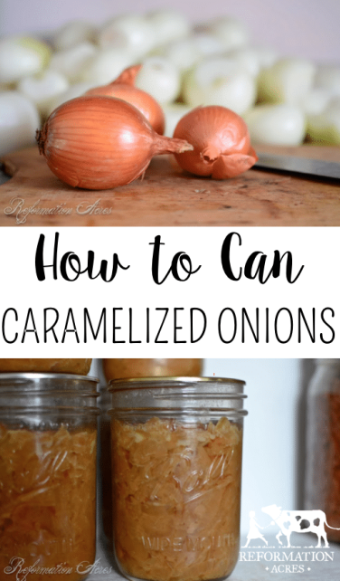 How to Can Caramelized Onions- this is a great way to store onions that have been in storage and are starting to sprout.