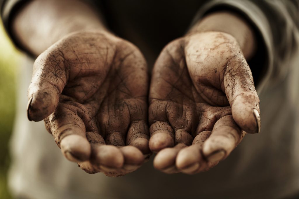 farmer hands.