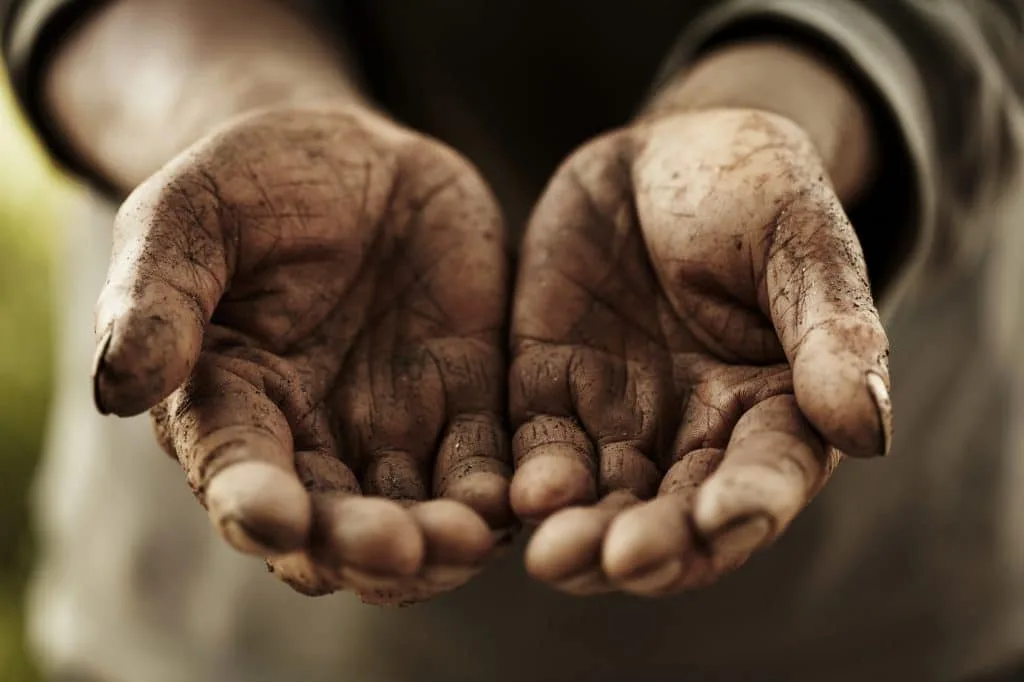 farmer hands dirty and cupped