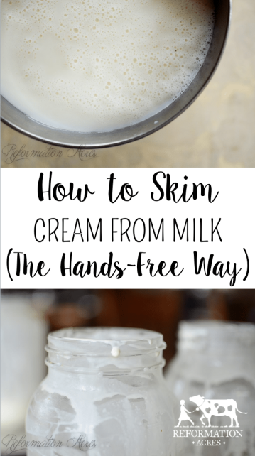 This is the EASIEST way to skim cream! Ever! | reformationacres.com