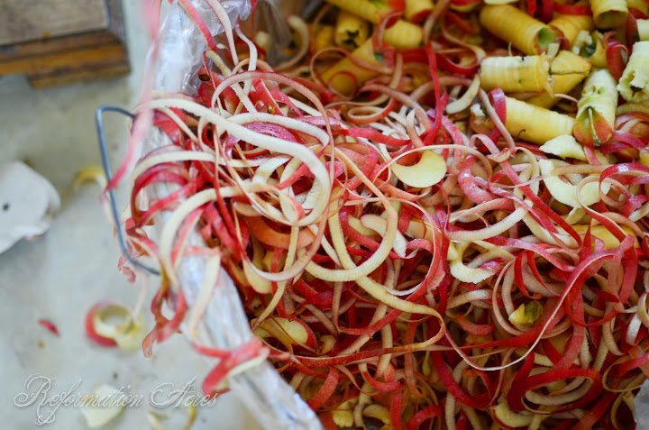 Managing the waste on your homestead | reformationacres.com